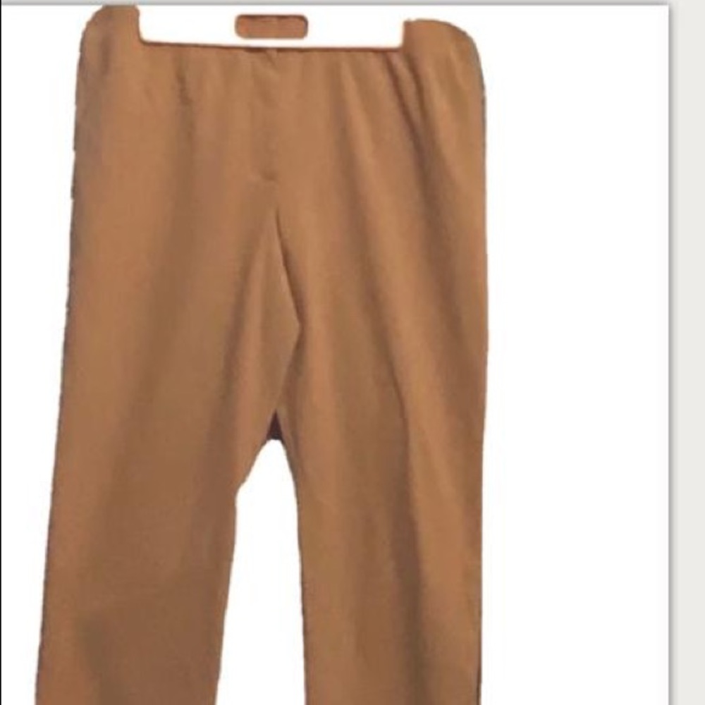 Harve' Benard Tan Dress Pants Size 12P